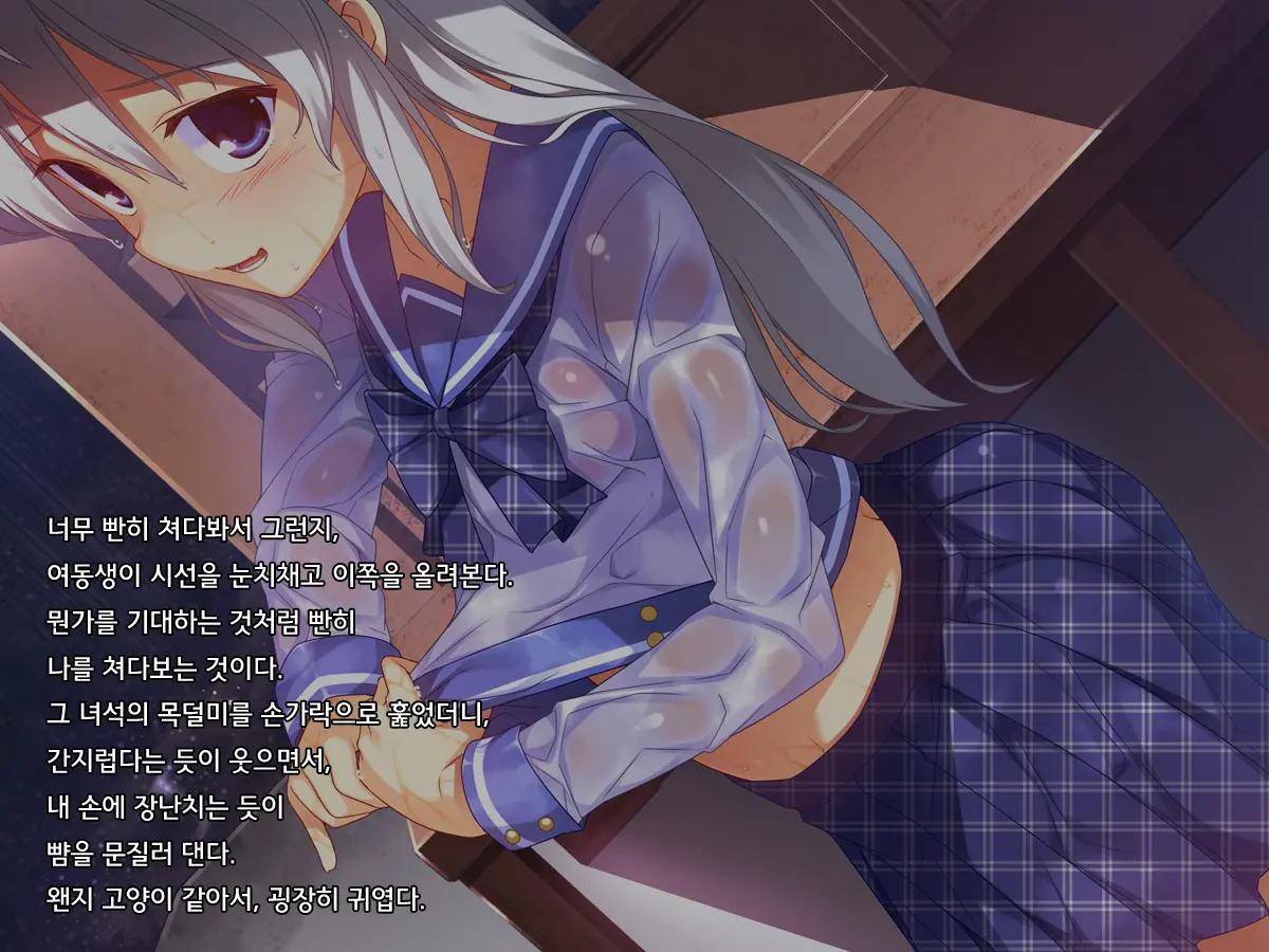 Onii-Chan No Hanbun Wa Yokubou De Dekiteimasu 2